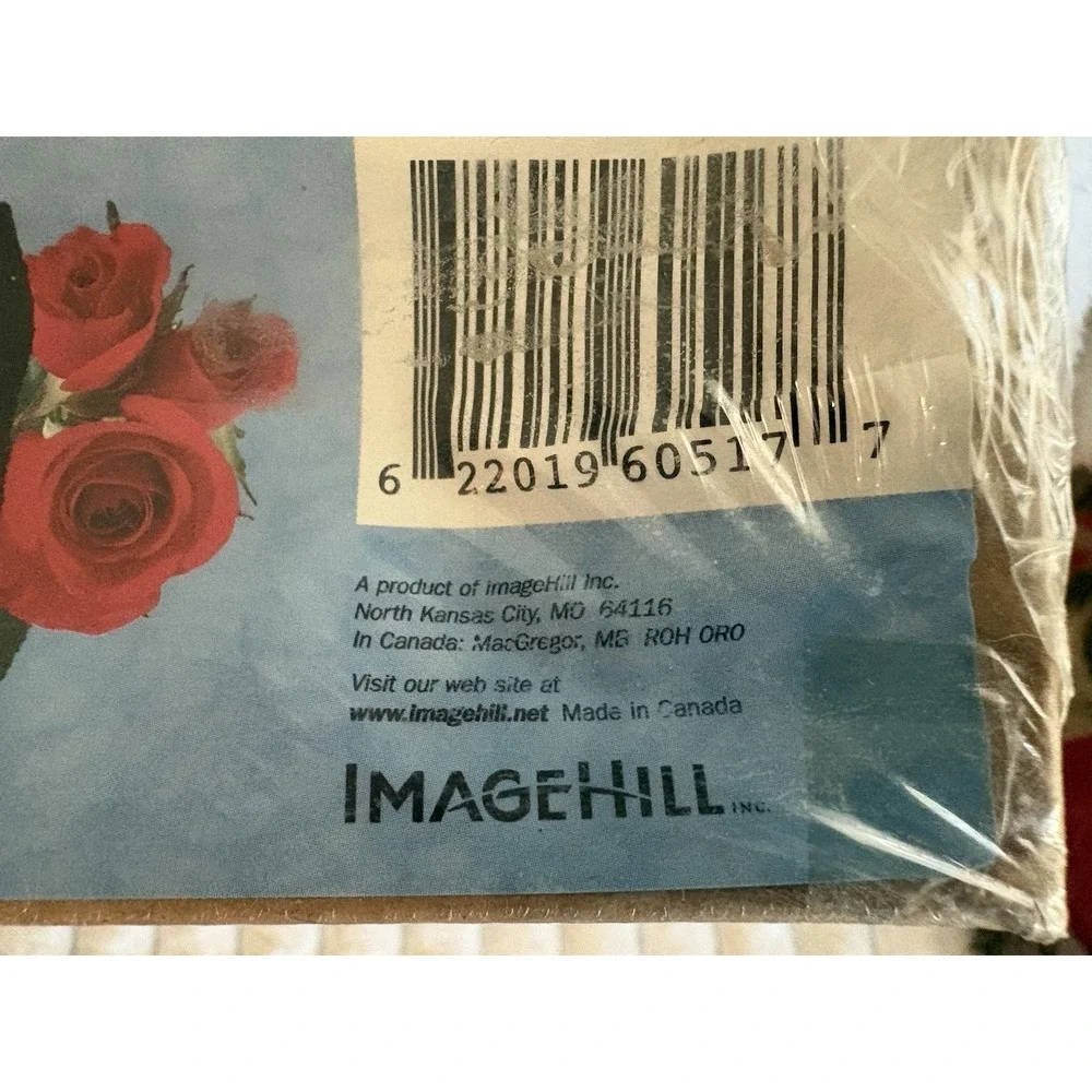 Rugworks Heirloom Hooking Lady Liberty 20” X 27” Rug Hooking Kit New #60517